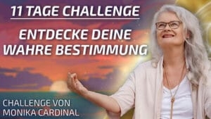 11 Tage Challenge - Monika Cardinal