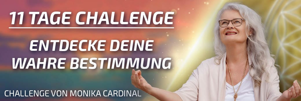 11 Tage Challenge - Monika Cardinal